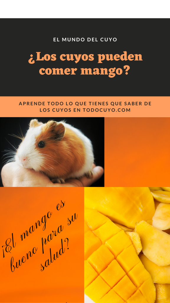 Los cuyos pueden comer mango