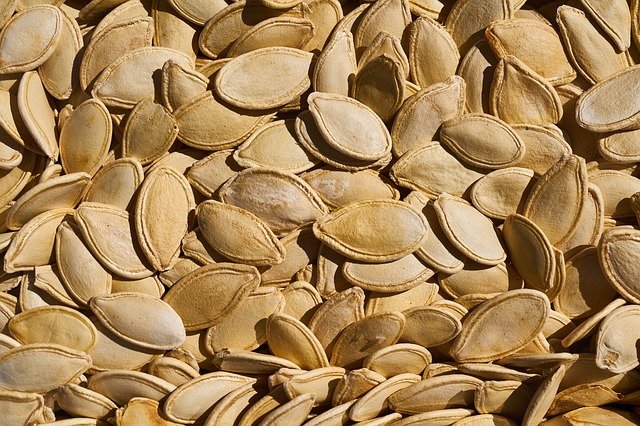 los cuyos pueden comer semilla de calabaza