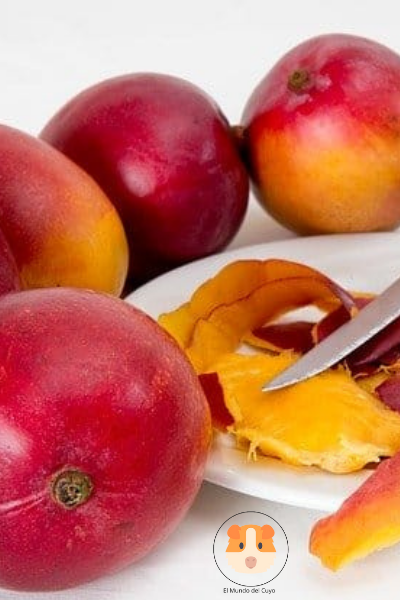 Pueden los cuyos comer la piel del mango